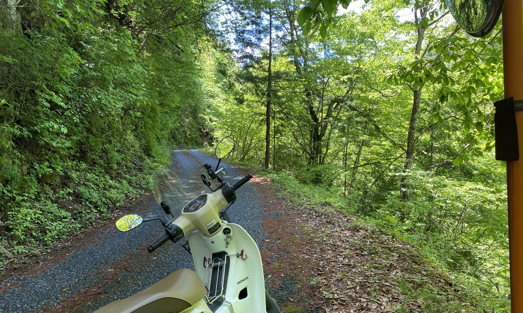 80C2C93B-3564-431B-B631-F408E3709586