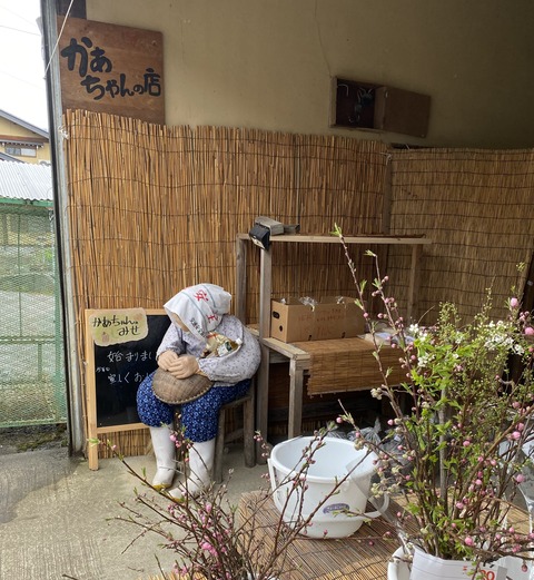 E19F46AC-DF96-4E7C-B4C0-48D4C73AF4BA