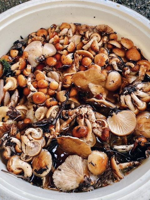 EA6C8C07-E469-434E-8169-F51DB5590EC8