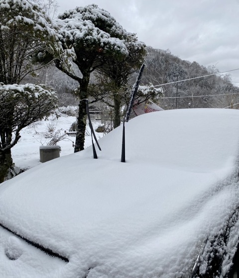 B56FFEB2-9BD8-4C9A-8130-24C8D714E70A