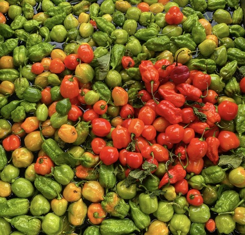 27DE0C5C-9C35-478F-BE2F-2E5ECC4FB38E