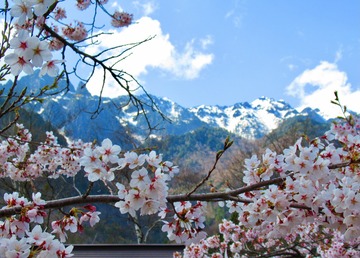 692AA2F1-A6C2-4543-BD9F-89E398D104BC