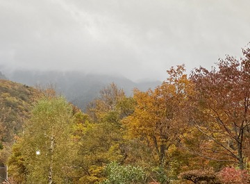 C103B9DB-20EE-4887-95FB-1D912B4BBAA2