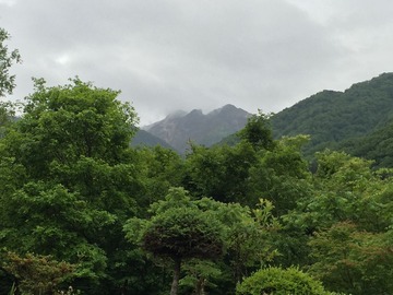 a-tozandosebi