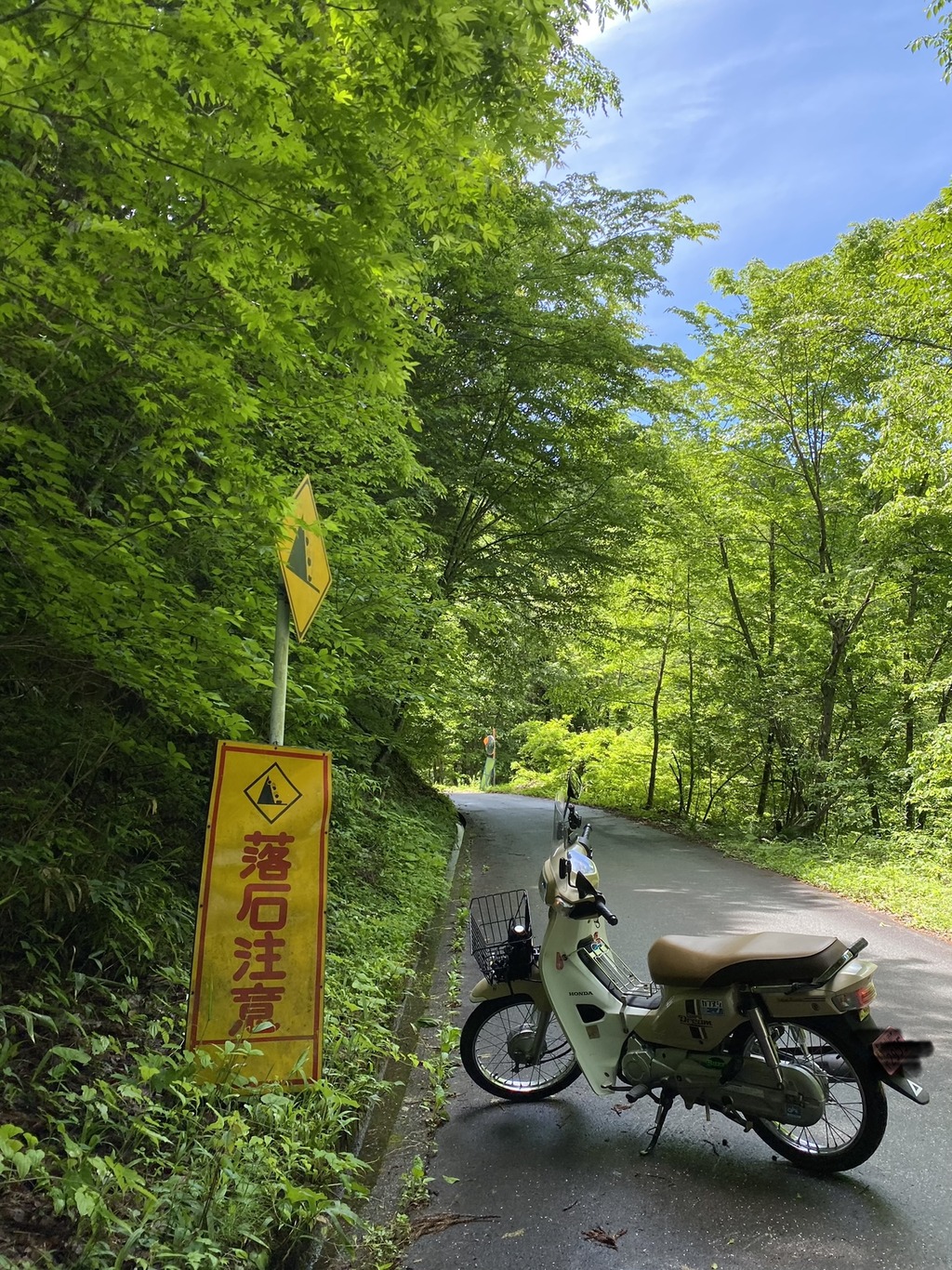 F8AE1ECF-233C-474E-BA98-FEE3CE59DFC7