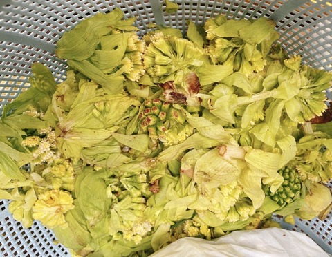 6A6E7EA9-7BF3-429F-8874-DEE0D0ECFC4D