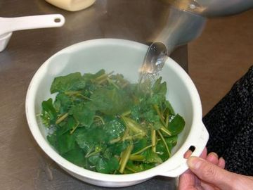 wasabi1
