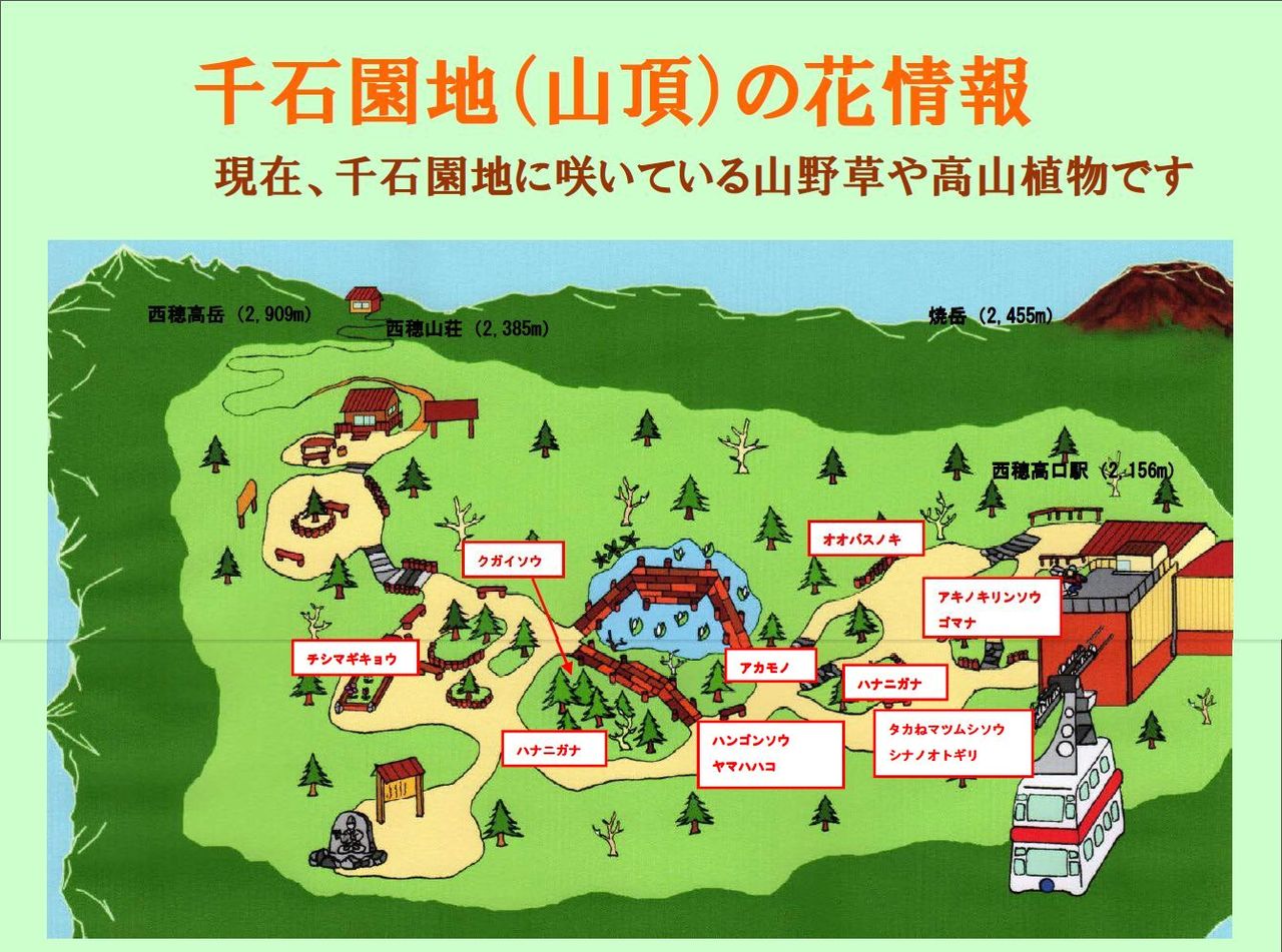 奥飛騨 うちのペンションblog 鍋平周辺と千石園地情報 奥飛騨 うちのペンションblog 鍋平周辺と千石園地情報