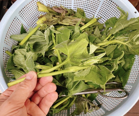 951539F1-A330-4F51-96FB-5ADDBE995802