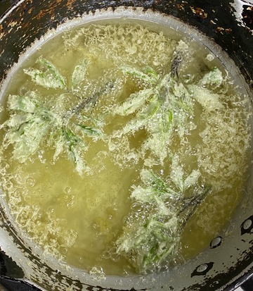 6F40A23E-5140-4262-BD85-3049B33CB1DC