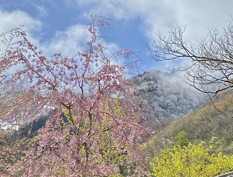 76C5FF4A-708F-43F8-9953-BE736347FC59