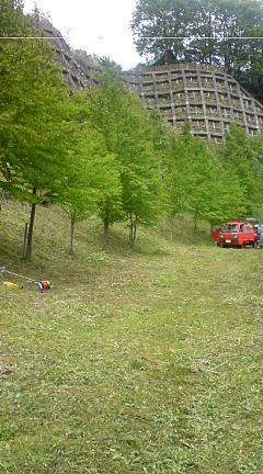 593f20a4.jpg