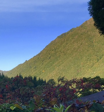 1D29199B-277F-479D-952F-550B0D811163