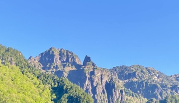 B6F615D4-1535-4857-AF02-A589A7E9E599