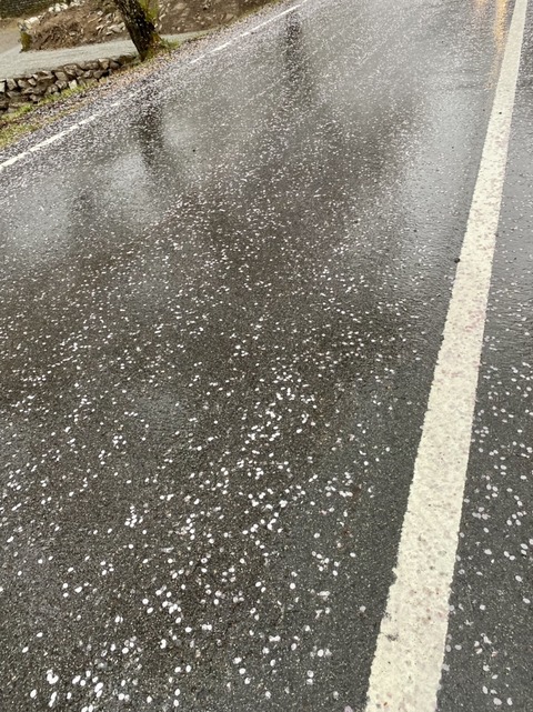 57FAFE70-77CC-4D09-8196-A7A317231520