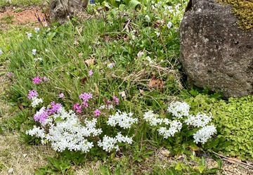 51A28D22-07F2-4E3B-8A6E-AA3FA09BE1BC