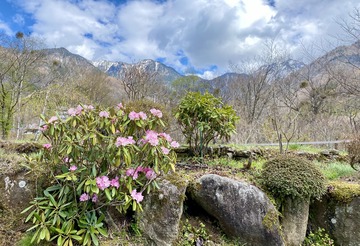 29D716EB-AD75-422F-A346-26C4AF9018B2