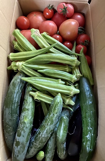 876D373B-34B2-4E4A-8642-2EC22FCE3B64