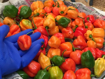 a-habanero