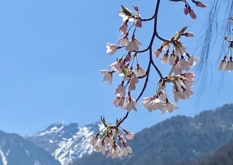 059F3DB9-3029-46E4-9400-2CE1804BE54B