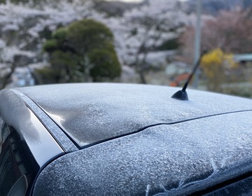 DE4DA27E-295C-4EAD-999E-4FEC0BD3E37C