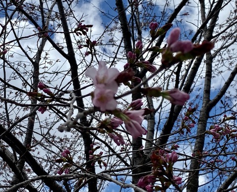 9342547B-6B79-42FE-BF50-5F5E4FAB18E4