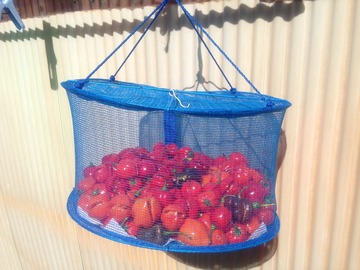 a-habanero