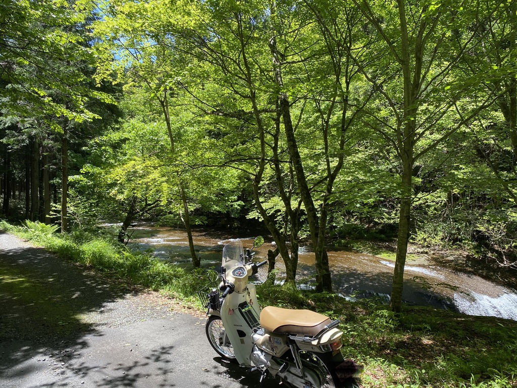 4E3562B4-F3C2-485D-B715-279BA6EC4115