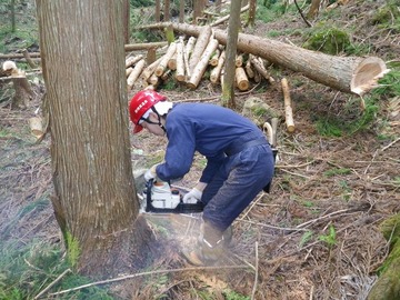 yosaku2011