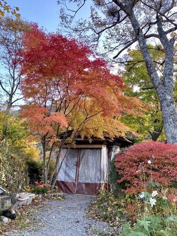 30A75DF2-1483-4253-89AD-ABBE6A9ECC84