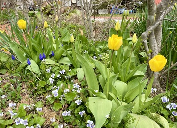 01A04D6E-BEEE-488B-8645-5DB8075E3973