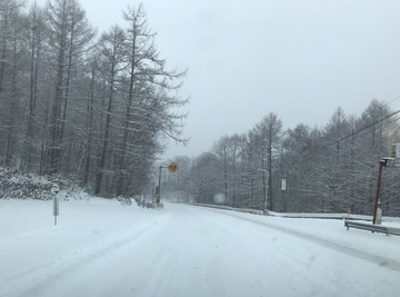 F5213936-5FCC-4B55-B81C-40E13AC0A9F5