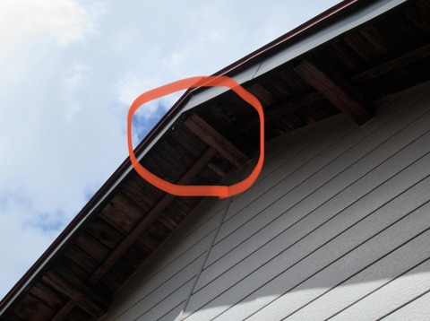 1C9DEB76-CA6C-4B46-B87C-CD2C349828E6