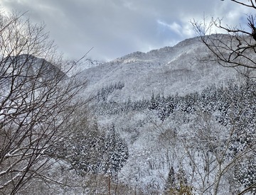 7F5D00B5-8992-4A1C-AA26-504741DC2401