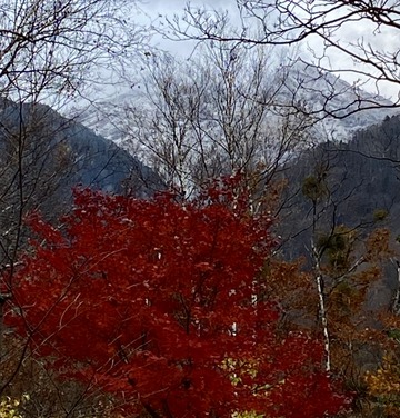 B958DD03-F2BA-4514-A8D7-5CD00587F828