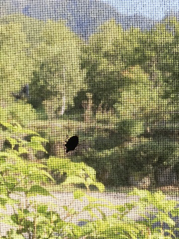 E9094D8F-101F-4144-B109-B9A09C5E1C45