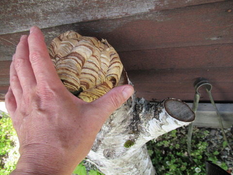 F9B9FCCA-2A09-47B2-BDED-F2CBE5604B91