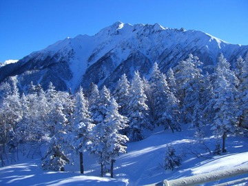 tenboudai