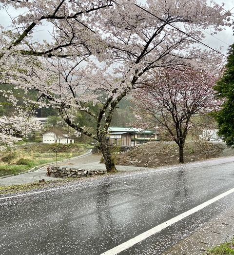 9F5627BC-E0F8-44BC-8189-6F659ACCDEC1