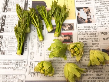 5FDF4934-2612-41C8-9A39-3546997B761F