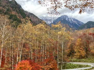 6BAF95E2-4F5C-4160-90F3-FAEA7CECD007