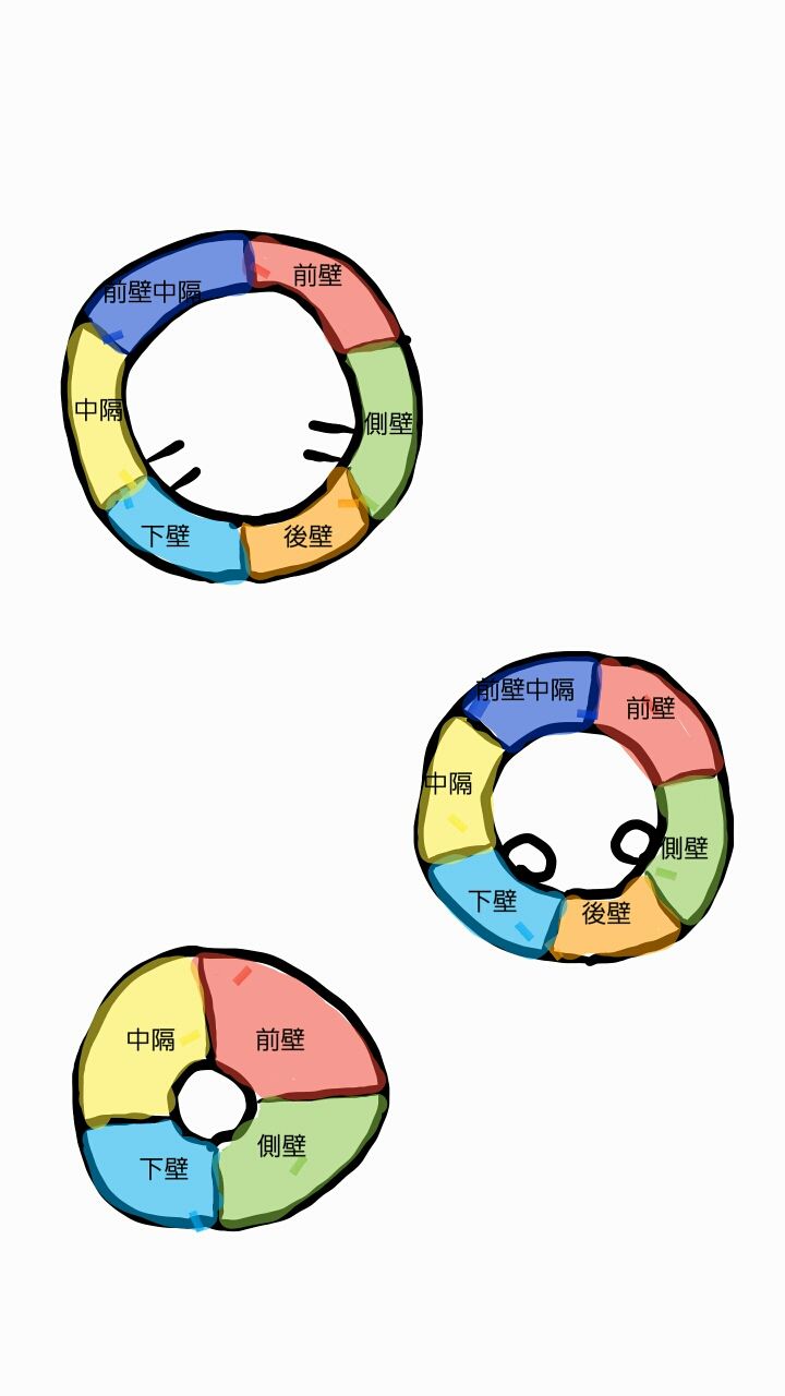 心エコーをどう活かすか セラピストが知っておきたい臨床知識