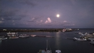 IMG_20240722_053959