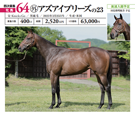 出資確定馬ご紹介】No,64 As I Please の2023（牝2