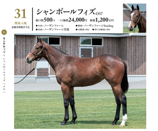 シルクhc募集馬 No 31シャンボールフィズの17 牝1 を高橋くんに提案したら おふざけが過ぎる と怒られてしまう 馬券購入 もう お腹いっぱいです 競走馬出資 シルクhc募集馬 No 31シャンボールフィズの17 牝1 を高橋くんに提案したら おふざけが過ぎる と怒られてしまう 馬券購入 もう お腹いっぱいです 競走馬出資