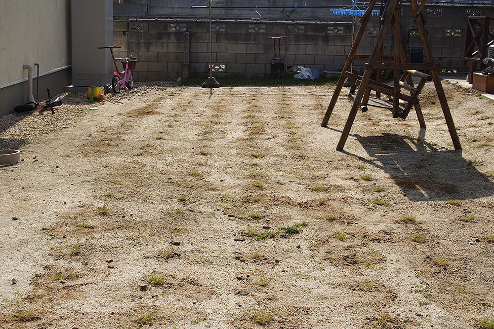 芝生 5月に植えたティフトン芝の成長具合 貧乏 性 サラリーマンのマイホーム建立物語 芝生 5月に植えたティフトン芝の成長具合 貧乏 性 サラリーマンのマイホーム建立物語