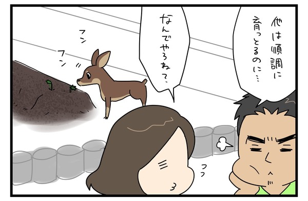 20180527_2