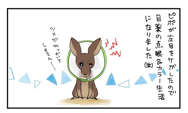 20170206_1