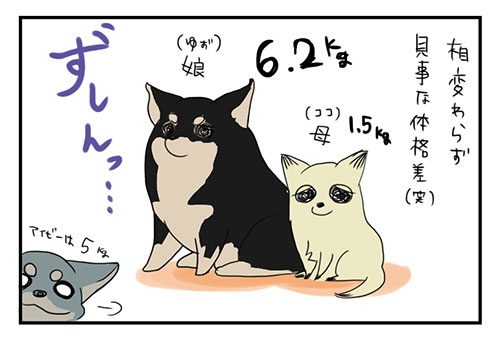 20150106_3.jpg