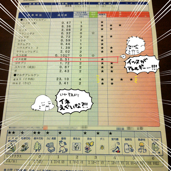 17-01-26-20-33-42-502_photo